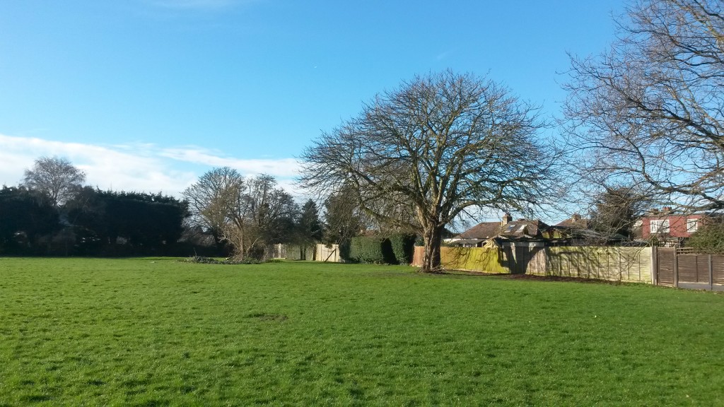20160211_100401 (view to SW corner)